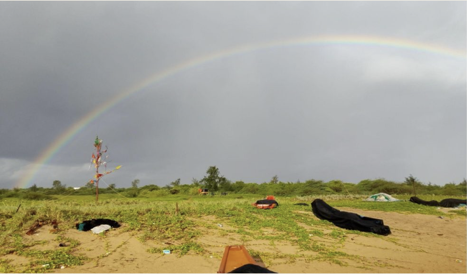 India’s New Fisheries Census Risks Erasing Traditional Fishing Communities